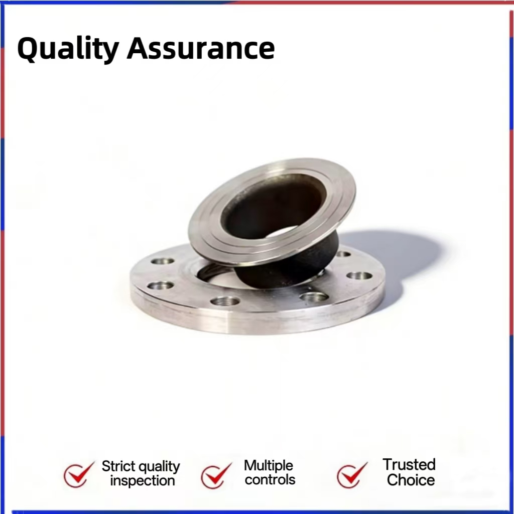 OEM Custom 304 Stainless Steel Lap Joint Flange Assembly Forged Flange Ring and Stub End for Pipe Connection Components