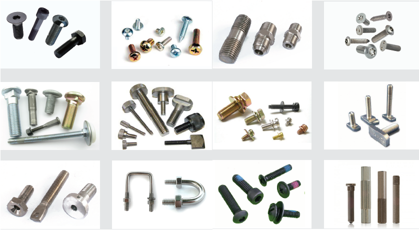 Stainless Steel Carriage Bolt