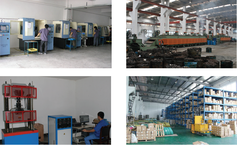 Stainless Steel Carriage Bolt