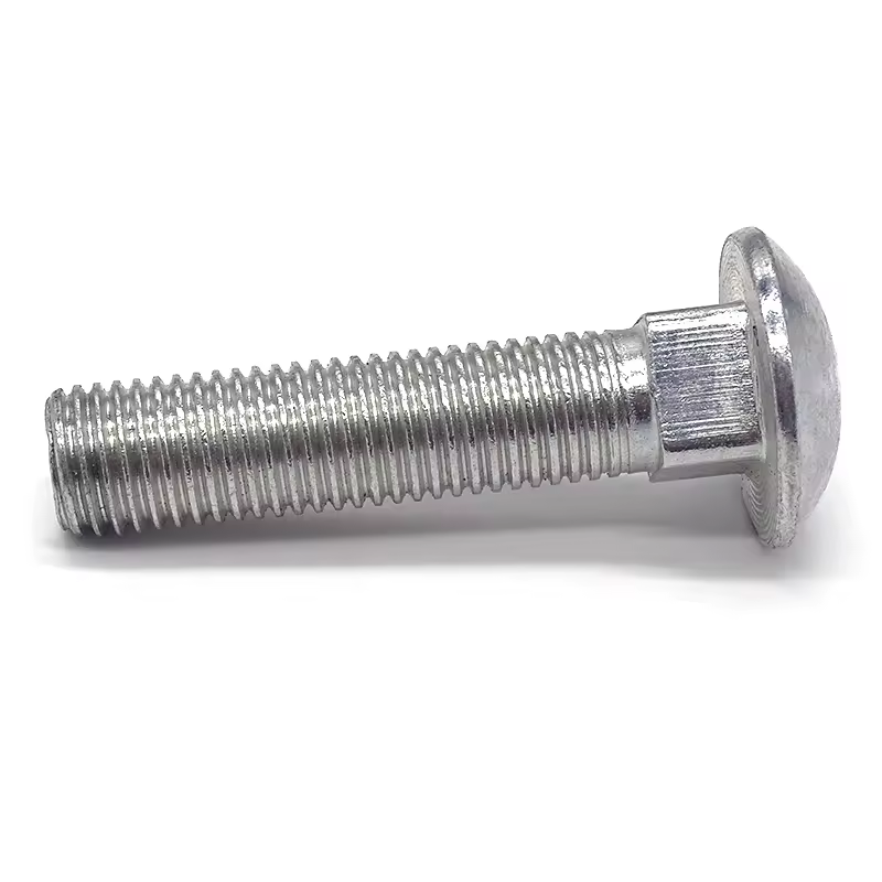 China Manufacturer's M10 M12 M18 M20 A2-70 Stainless Steel Carbon Steel Square Neck Carriage Bolt Plain Finish DIN 603 Standard