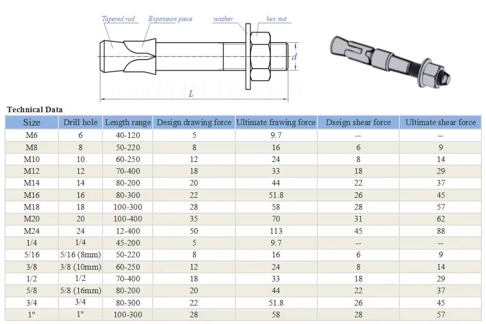 Wedge Anchor Structural View