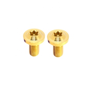 Custom High Quality Gr5 Titanium Bolts with Torx Button Head Flanged Screws