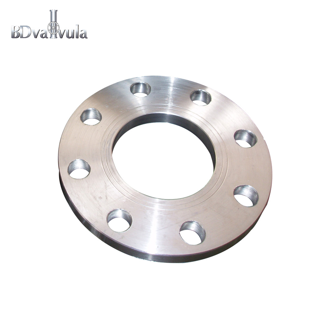 DIN 2576 Pn16 Stainless Steel Slip on Flange Multi Styles Flange