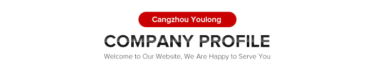 Company Overview 1