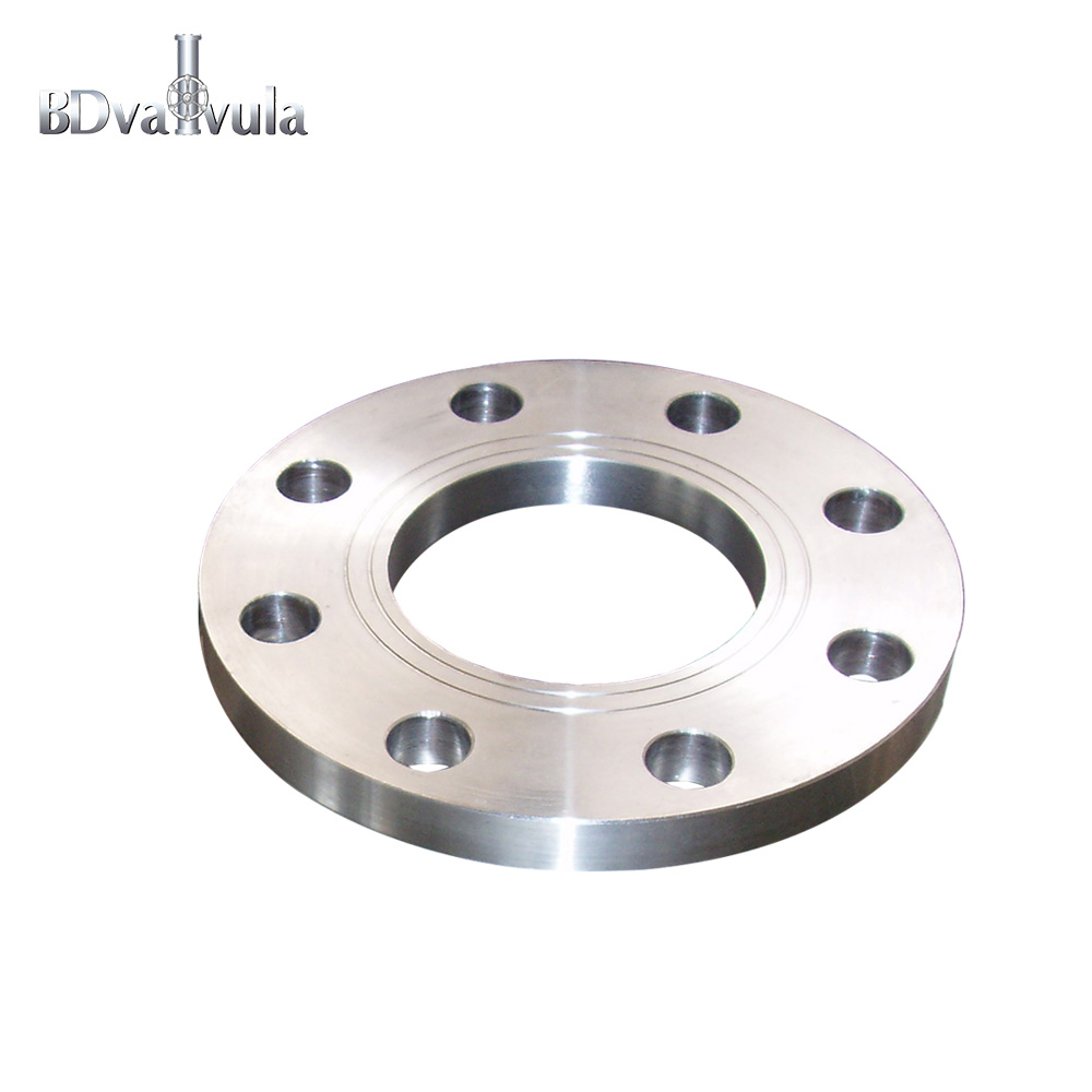 DIN 2576 Pn16 Stainless Steel Slip on Flange Multi Styles Flange