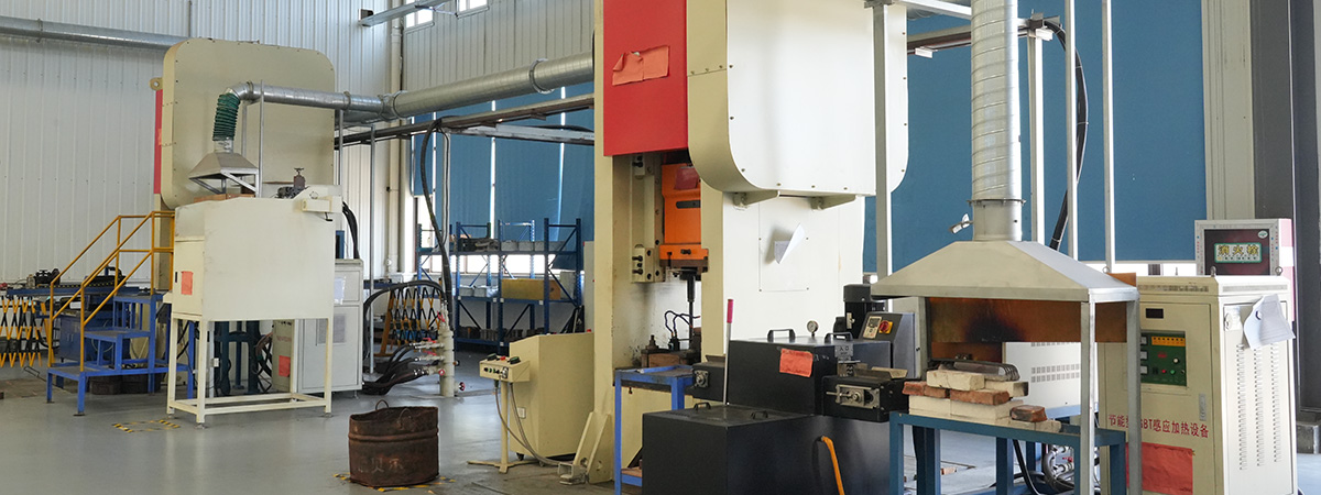 Company Profile