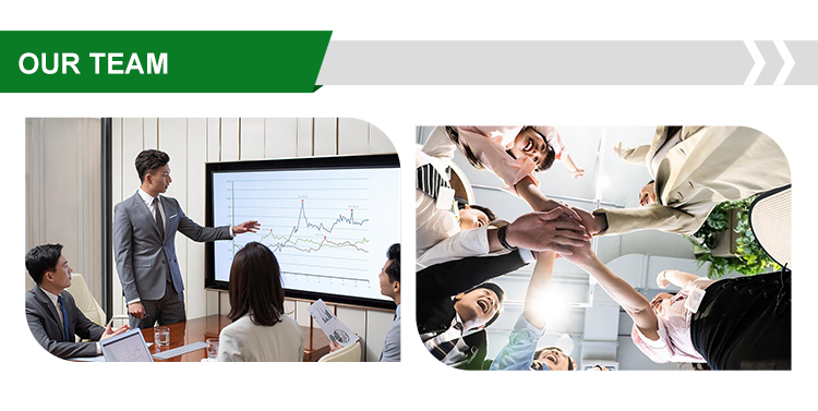 Product view presentation