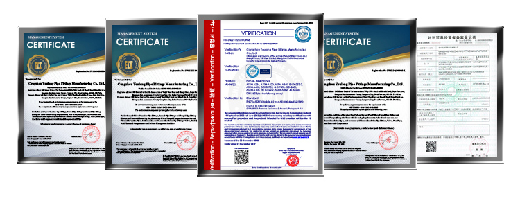 Quality Inspection 2