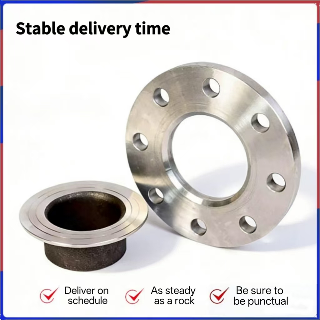 OEM Custom 304 Stainless Steel Lap Joint Flange Assembly Forged Flange Ring and Stub End for Pipe Connection Components