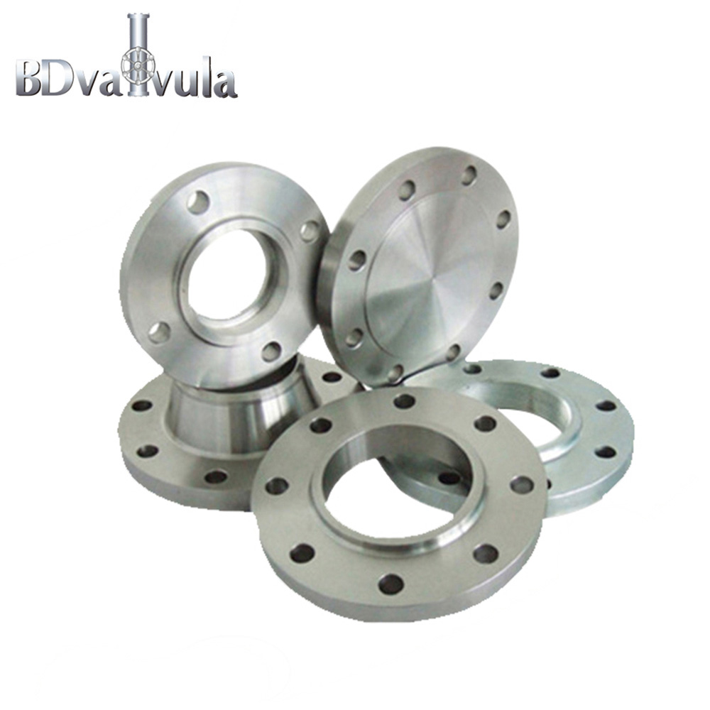 DIN 2576 Pn16 Stainless Steel Slip on Flange Multi Styles Flange