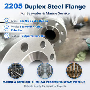 Duplex 2205 Stainless Steel Flange for Water Valves