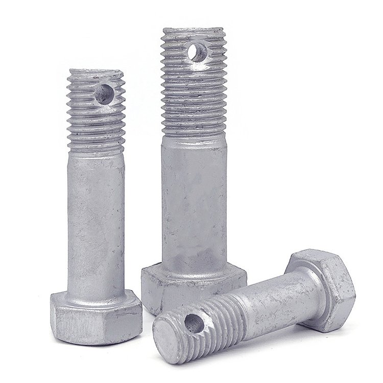 Galvanized Fastener Showcase